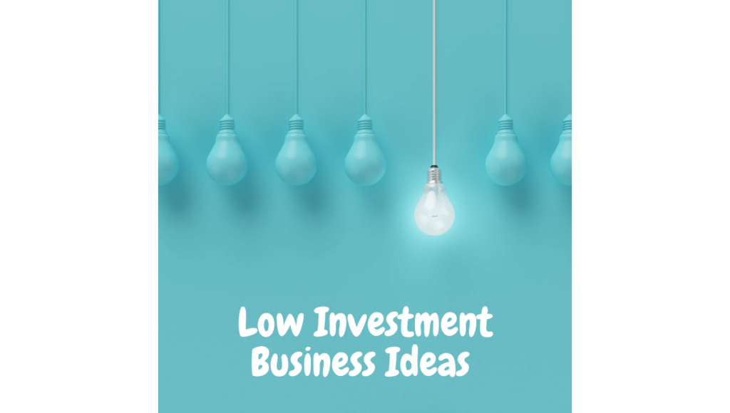 Low Investment Business Ideas 