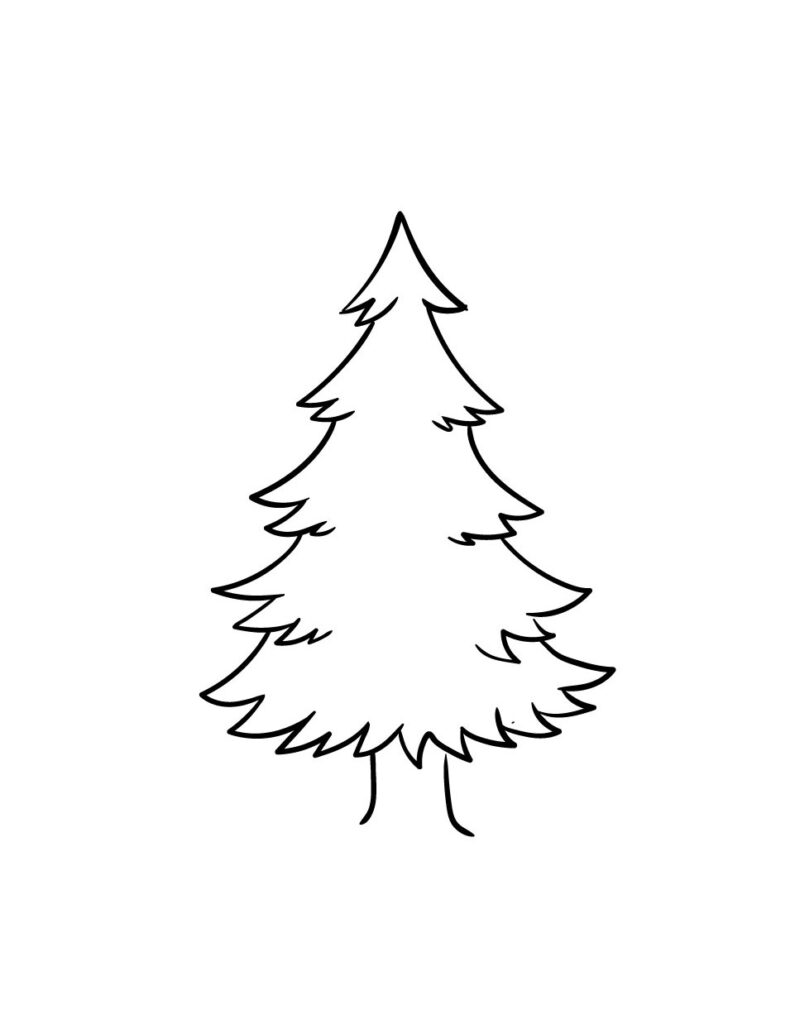 Step 4 – Now draw in the bottom of the tree and trunk
